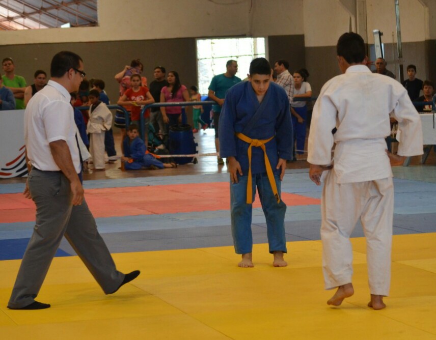 Judo 2 (archivo).jpg